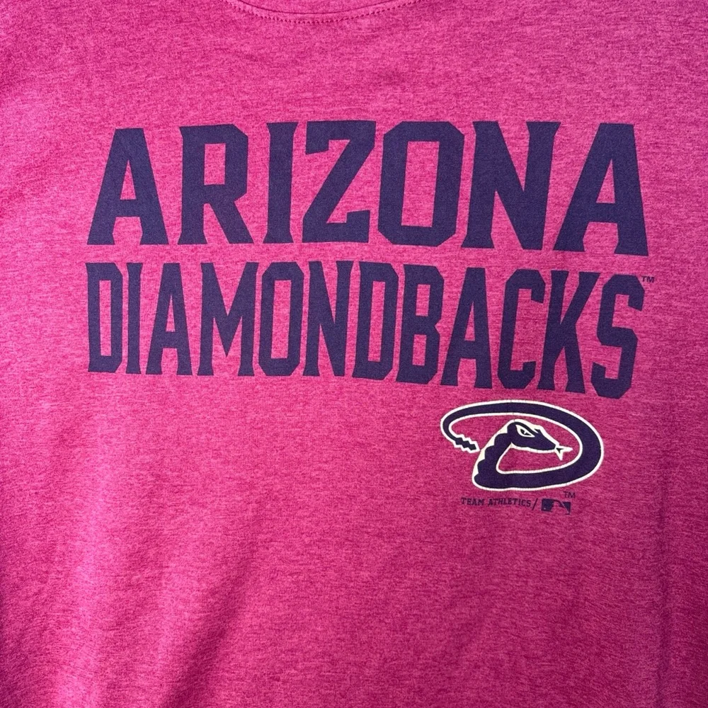 Arizona Diamondbacks cheer arizona